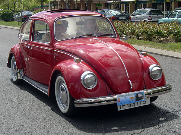 Volskwagen Beetle 5
